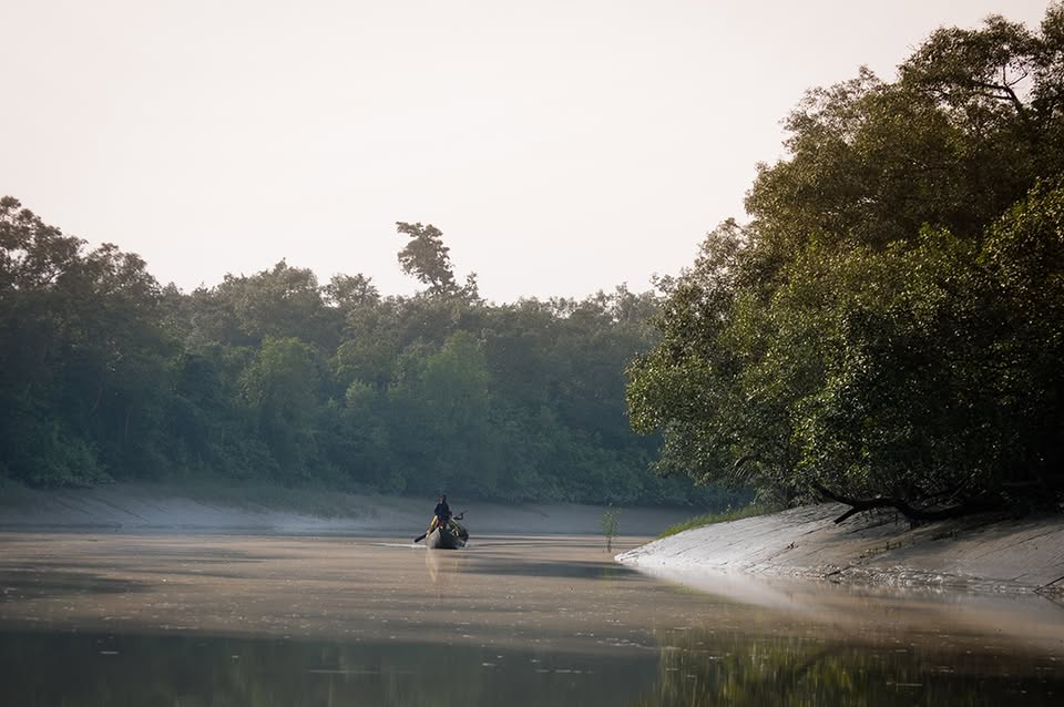 First-Timer’s FAQ: 25 Questions Answered About Sundarban Tours
