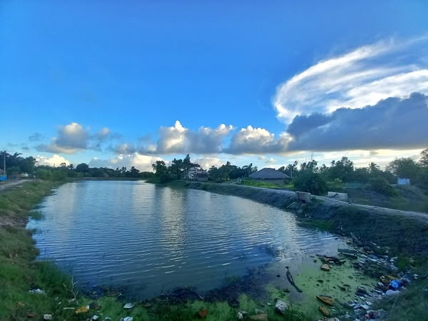 How Climate Change is Affecting Sundarban: What Tourists Can Do to Help