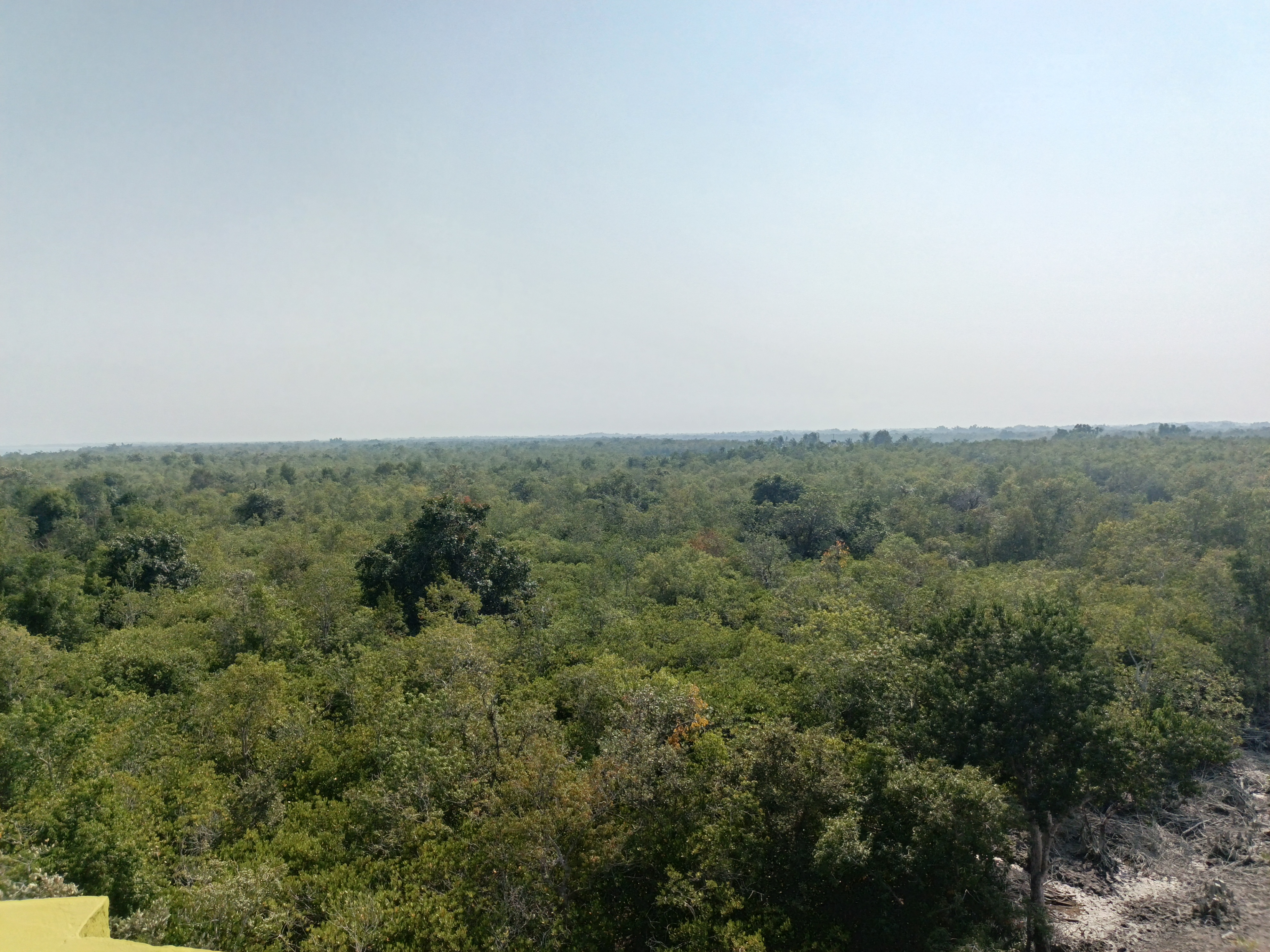 Sundarban National Park: UNESCO World Heritage Site – Complete Conservation Outlook (2017 Assessment)