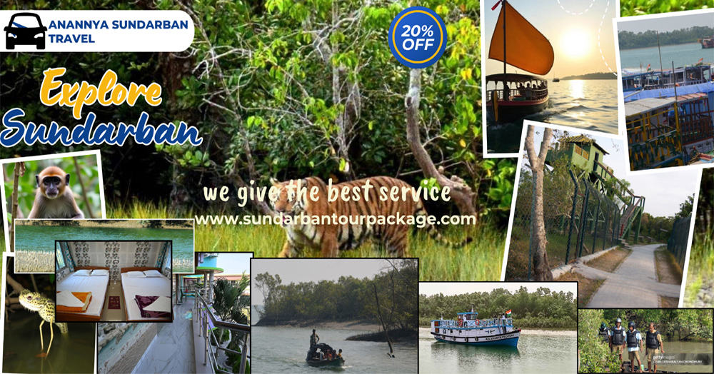 Sundarban Wildlife Safari