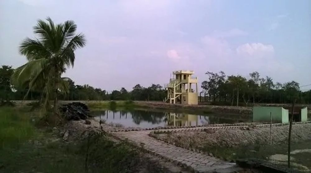 Netidhopani & the Ruins