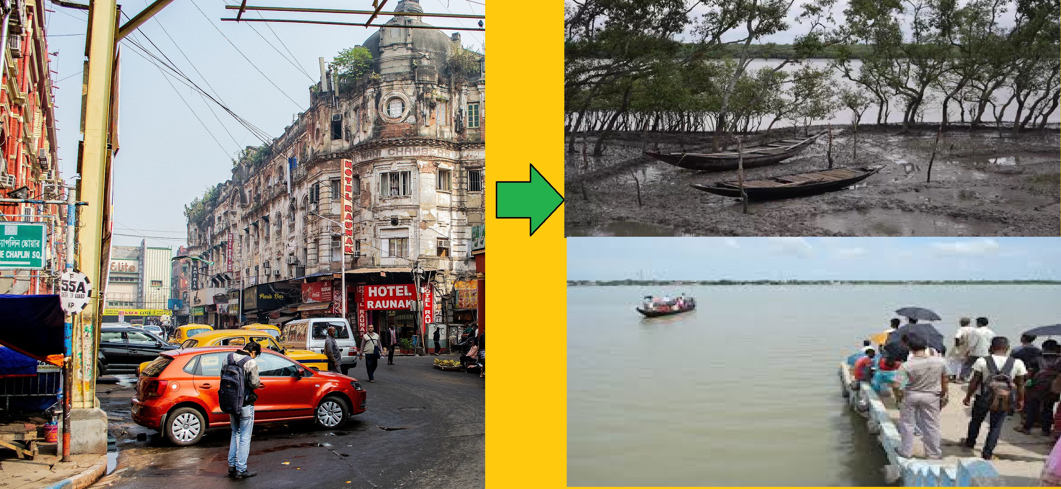 How to Go from Kolkata to Sundarban? 2024 Complete Travel Guide