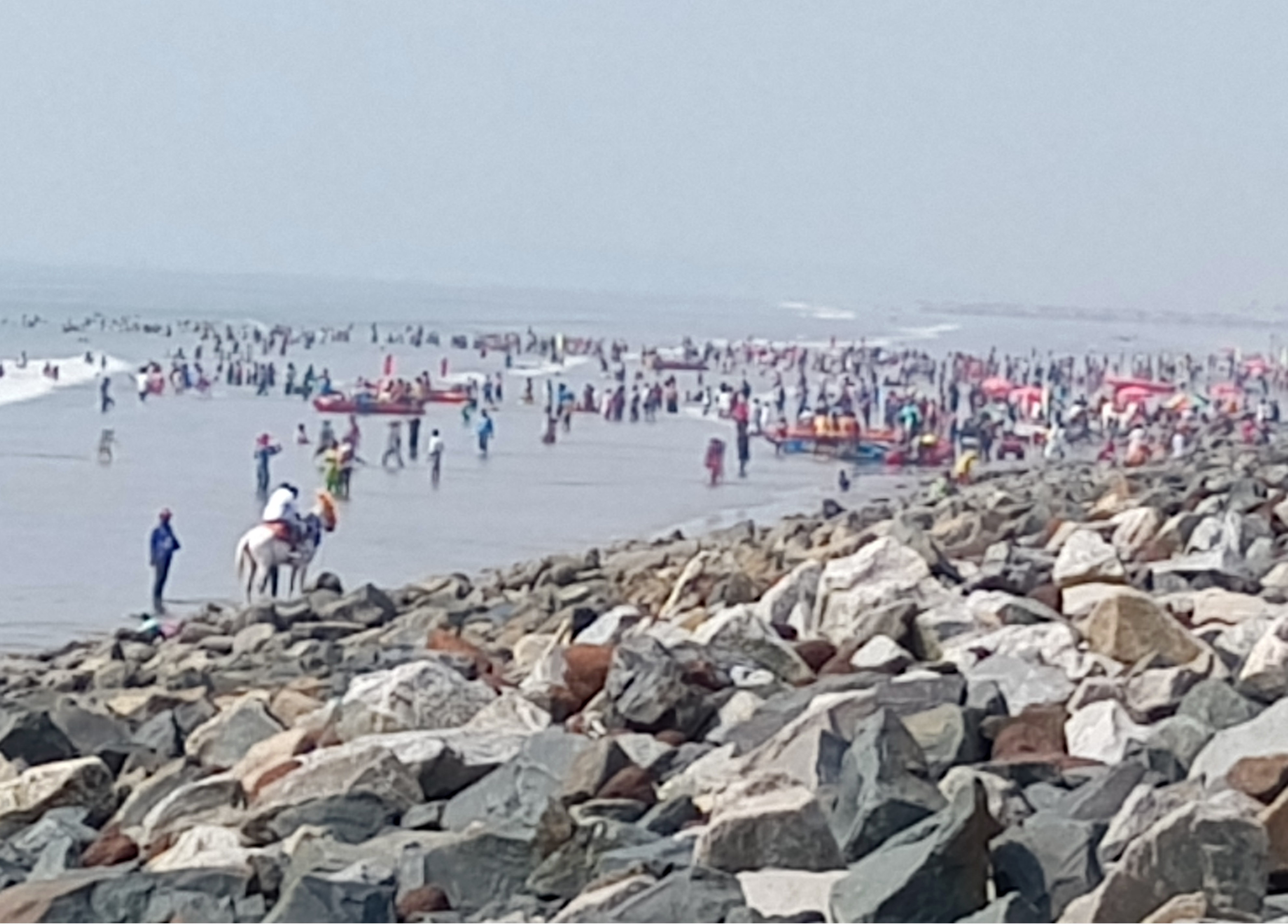 A Taste of the Tides, Hills, and Valleys: Our Eastern India Culinary & Travel Diary